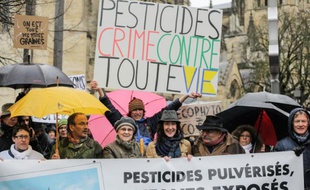 Manifestation contre les pesticides, le 14 février 2016 à Bordeaux