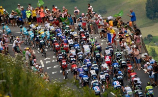 Le peloton du Tour de France lors de l'édition 2014.