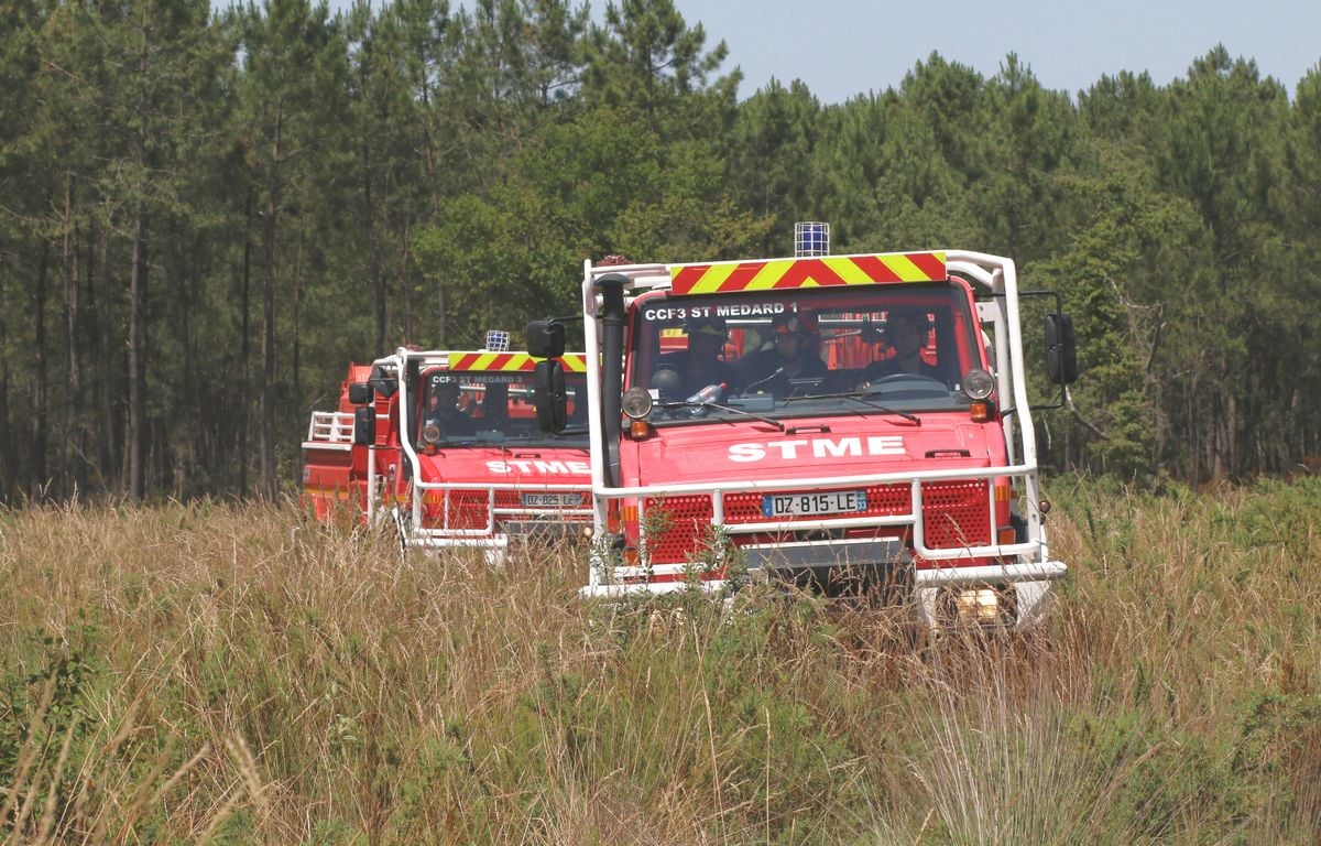Gironde : « La probabilité de départs de feux de forêt virulents augmente tous les jours »