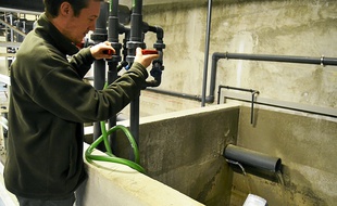 Le remplissage de l'un des bassins, avec Jean-Marie, soigneur.