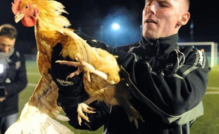 Sablé, "petit poulet" sarthois de CFA2 et petit Poucet de la Coupe de France, jubile à l'idée de défier l'appétit du Paris SG, leader de la L1 avec ses millions et son entraîneur de renom Carlo Ancelotti, vendredi en 16e de finale