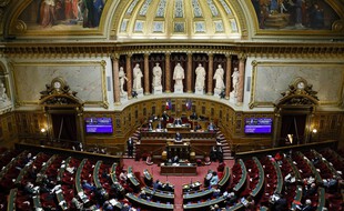 L'hémicycle du Sénat à Paris.