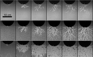 Images extraites de la vidéo d'un objet métallique frappant le sol.