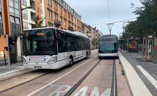 Illustration. Tram et bus de la CTS. Strasbourg le 27 08 2020.