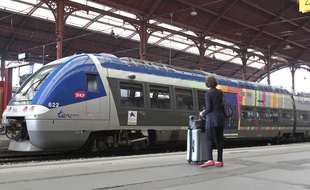 Un TER en Alsace (illustration).