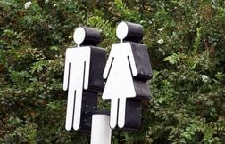 Pourquoi les femmes préfèrent attendre une heure aux toilettes plutôt que d…