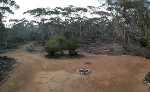 Une Australienne perdue depuis trois jours dans le bush a été retrouvée mercredi grâce à un