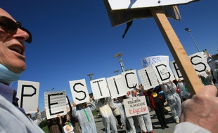 Lors d'une manifestation d'opposants ecologistes a l'utilisation des pesticides devant un hypermarche de la region de Toulouse.