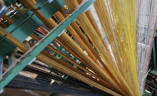 Reportage aux Manufactures Catry, labellisées Terre Textile à Roncq