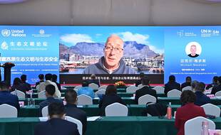 Le président de l'Union géographique internationale Michael Meadows prononce un discours par vidéo lors de la COP15 biodiversité en Chine.