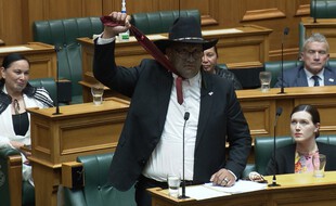 Le député du Parti maori, Rawiri Waititi.