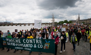 Les gilets jaunes se sont joints à la marche contre Monsanto & Co organisée ce samedi à Bordeaux.