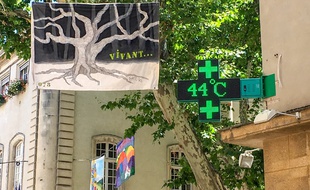 La pharmacie de Carpentras en témoigne : il fait chaud, très chaud.