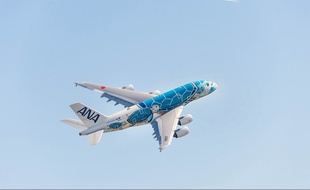 L'A380 aux couleurs d'une tortue hawaïenne a été livré par Airbus à la compagne nippone ANA le 20 mars 2019, à Toulouse.