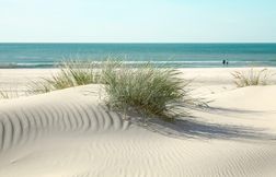 Un jeune homme meurt enseveli sous une dune de sable en Nouvelle-Zélande