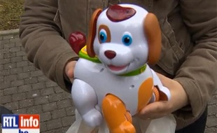 Capture d'écran d'un reportage de RTL Info sur Bobby, un chien en plastique qui fait scandale en Belgique.