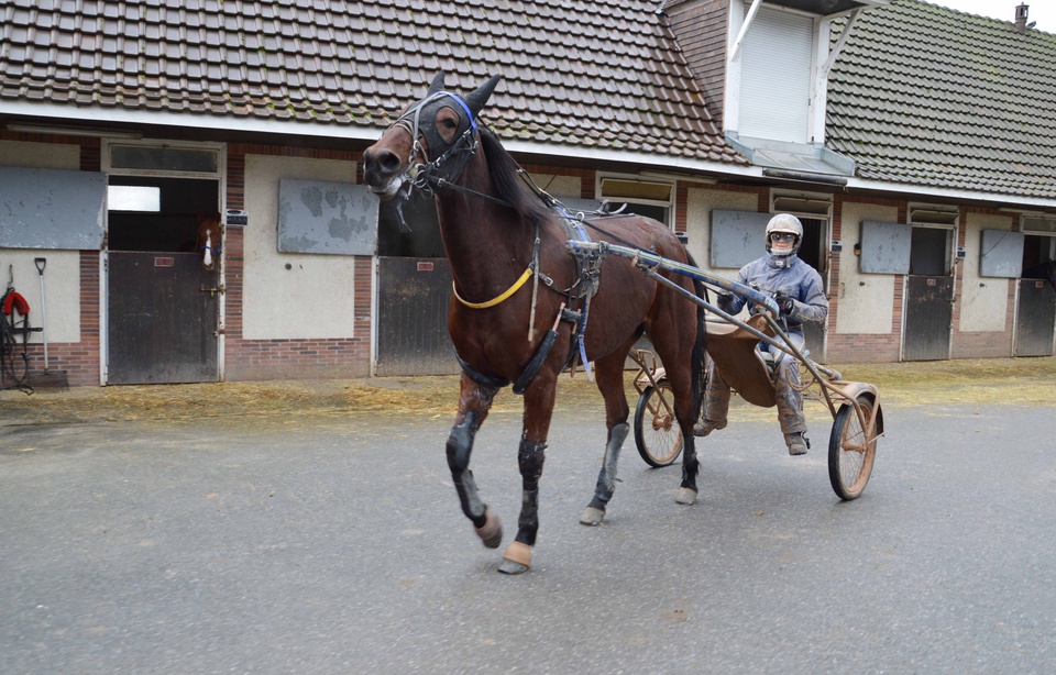 Trotteur store en part