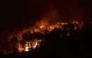 L’incendie meurtrier dans l’Aude est vraisemblablement d’origine criminelle