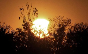 Une éclipse solaire partielle en Virginie (Etats-Unis) le 23 octobre 2014
