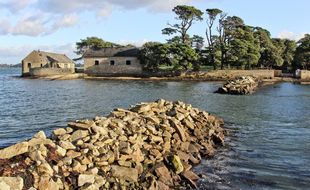 L'île de Berder s'étend sur 23 hectares en plein cœur du golfe du Morbihan.