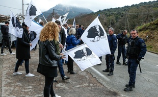 Des personnes brandissent le drapeau corse lors de la visite d'Emmanuel Macron sur l'île de beauté le 4 avril dernier.