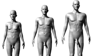 Les silhouettes présentées à des femmes par des scientifiques australiens pour évaluer leur attrait sexuel.