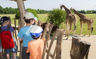 Des enfants au zoo de la Boissière du Doré, près de Nantes