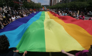 La marche des fiertés, LGBT, en juin 2017, à Toulouse. (image d'illustration)