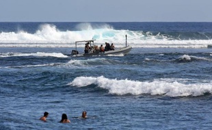 Deux bateaux de pêche devaient sortir en mer vendredi après-midi à la Réunion pour une première pêche au requin organisée après une série d'attaques contre les surfeurs, a-t-on appris auprès de la préfecture.