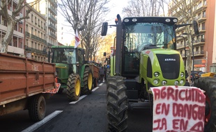 Lors de la manifestations des agriculteurs en centre-ville de Toulouse le 31 janvier 2018.