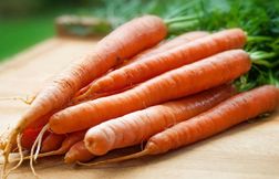 Six personnes gravement malades à Cholet après avoir mangé des carottes
