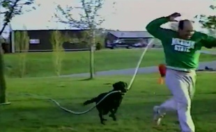 Un chien arrose son maître.