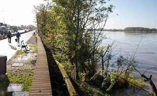 La Métropole a déboursé 20 millions d'euros pour conforter les digues sur la rive droite de la Garonne.
