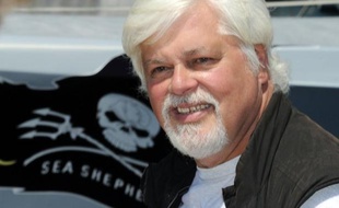 Le député européen José Bové a dénoncé mardi l'arrestation "hallucinante" par la justice allemande de Paul Watson, le fondateur de l'organisation écologiste Sea Shepherd, à la demande du Costa Rica.