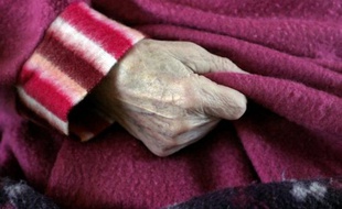 Toulouse se place cette semaine au coeur de la lutte contre la maladie d'Alzheimer en accueillant le principal congrès mondial sur les essais thérapeutiques et en déposant vendredi à Paris sa candidature comme Institut hospitalo-universitaire (IHU), leader national en gérontologie. AFP PHOTO FRED TANNEAU AFP PHOTO / FRED TANNEAU