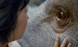 Okja de Bong Jon-ho