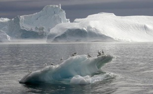 Des scientifiques ont tiré lundi la sonnette d'alarme sur l'acidification "rapide" de l'océan Arctique due aux émissions de CO2, un phénomène lourd de menaces pour le fragile écosystème de la région.