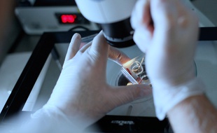En 2015, 145.255 tentatives d'assistance médicale à la procréation ont été enregistrées en France, selon l'Agence de la biomédecine.