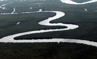 Des hommes armés ont enlevé vendredi un expatrié américain et tué le policer chargé de sa sécurité dans la région pétrolifère du Delta du Niger, dans le sud du Nigeria, a déclaré la police.
