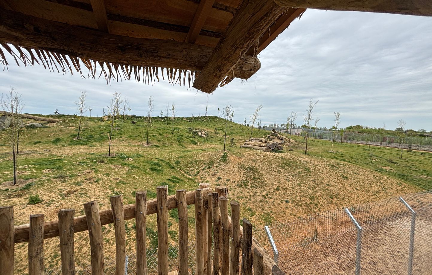 « Nos animaux sont heureux » : Ces zoos qui mettent le paquet pour construire des enclos XXL
