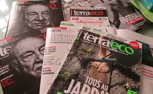 Terra Eco, magazine sociétal et environnemental, basé à Nantes et de diffusion nationale