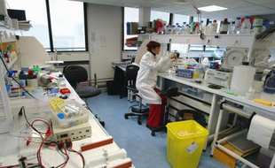 Un médicament expérimental, l'anacetrapib, du laboratoire américain Merck, s'est montré prometteur pour réduire le mauvais cholestérol et doper le bon, selon les résultats d'un essai clinique publié dans la revue médicale New England Journal of Medicine.