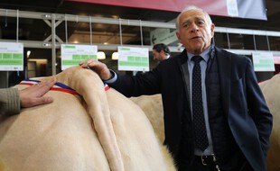 François Patriat pose à côté d'une charolaise au Salon de l'Agriculture 2020.