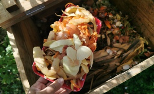 Illustration du recyclage de déchets de cuisine.