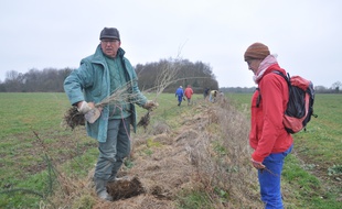 Une trentaine de militants opposés au projet d'aéroport ont planté mardi quelque 200 arbres pour recréer des haies sur 24 hectares de parcelles agricoles.