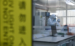 Dans un laboratoire à Hefei, dans la province de l'Anhui, dans l'est de la Chine, le 13 février 2020.