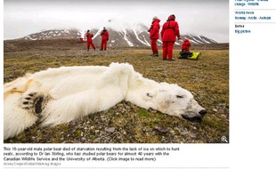Capture d'écran du site du Guardian.