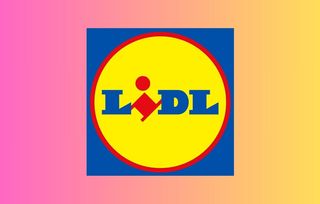 Basket lidl best sale 13 euros