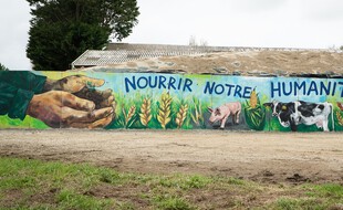 Un éleveur du Finistère a fait recouvrir les tags injurieux par une fresque d'art réalisée par l'artiste Heol.