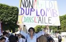 Une pétition contre la loi Duplomb réunit plus de 800.000 signatures, du jamais-vu